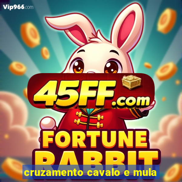 cruzamento cavalo e mula